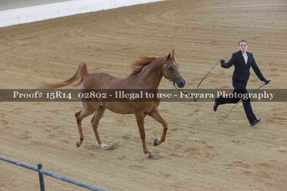 Proof Number 15R14_02802