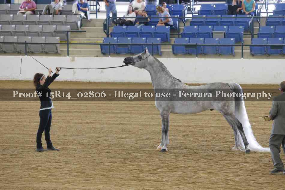 Proof Number 15R14_02806