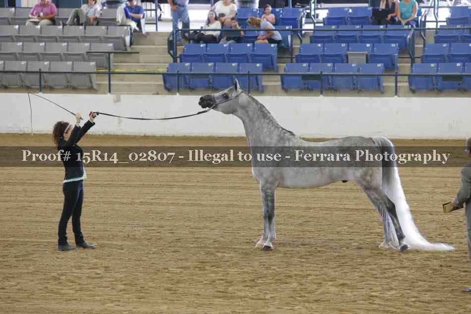 Proof Number 15R14_02807