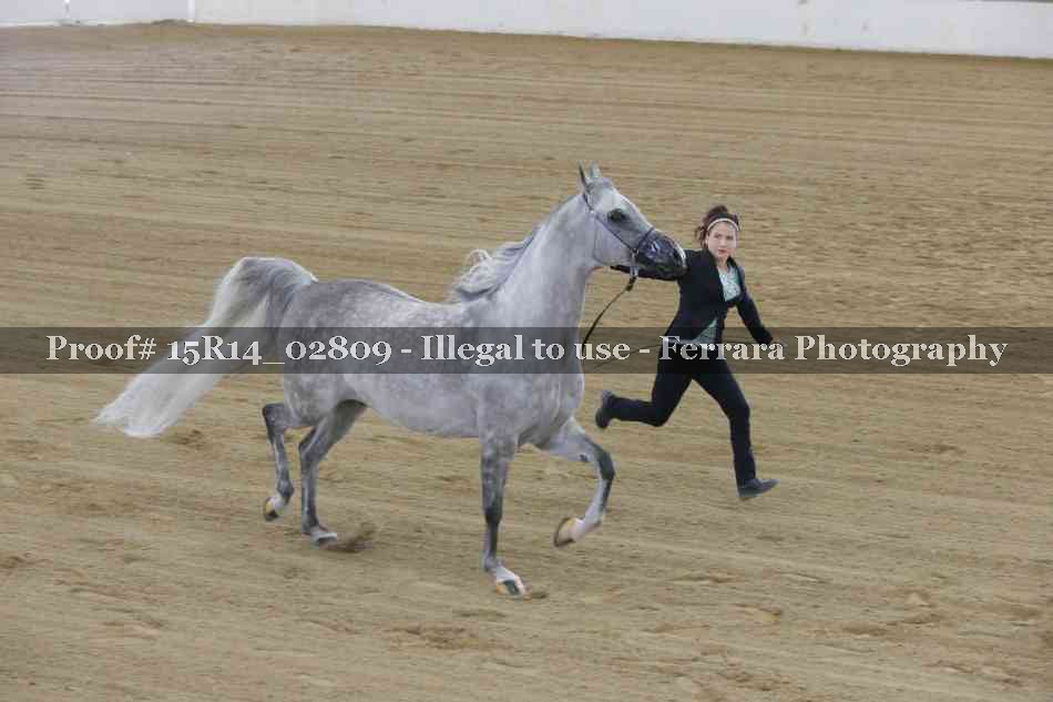 Proof Number 15R14_02809