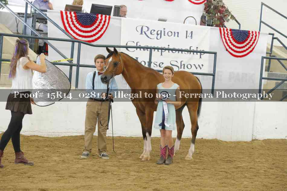 Proof Number 15R14_02814