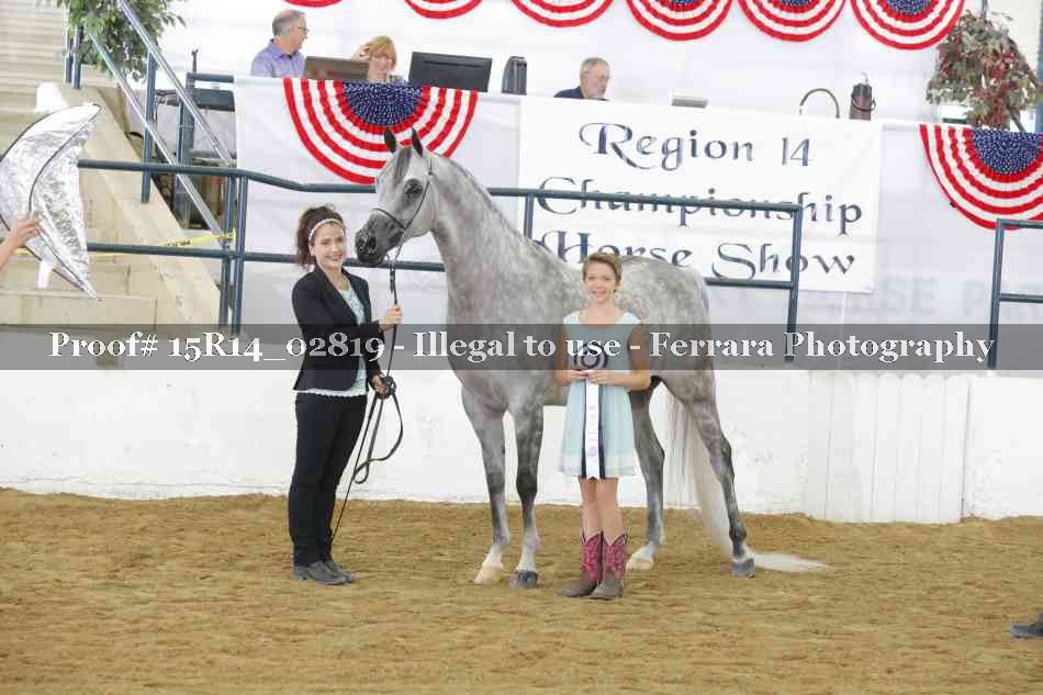 Proof Number 15R14_02819