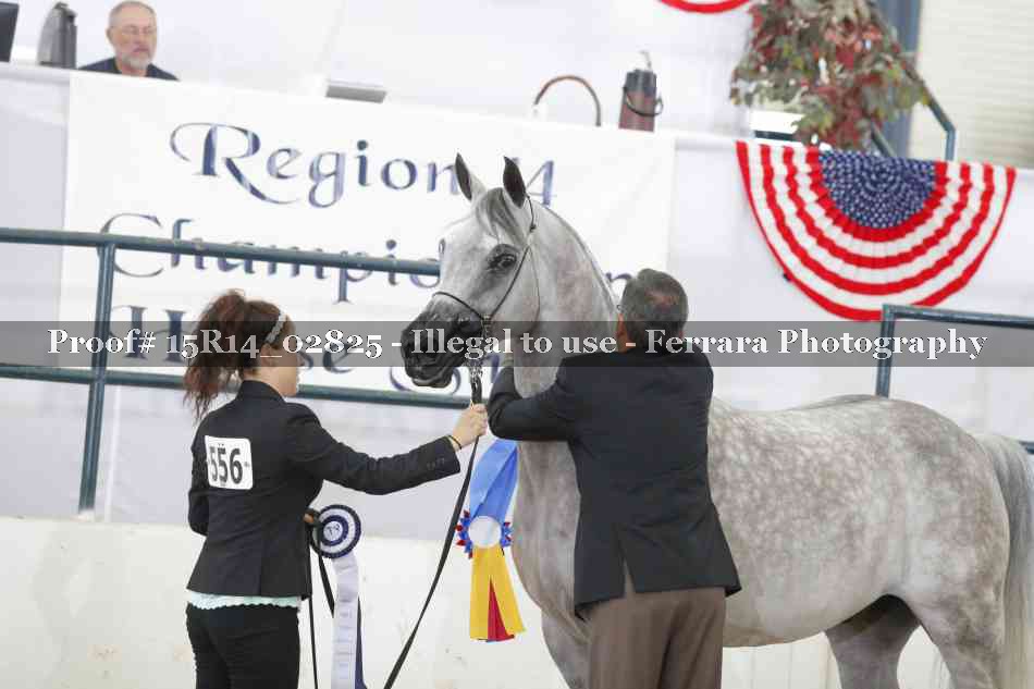 Proof Number 15R14_02825