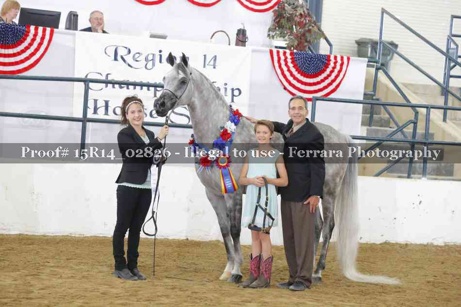 Proof Number 15R14_02826