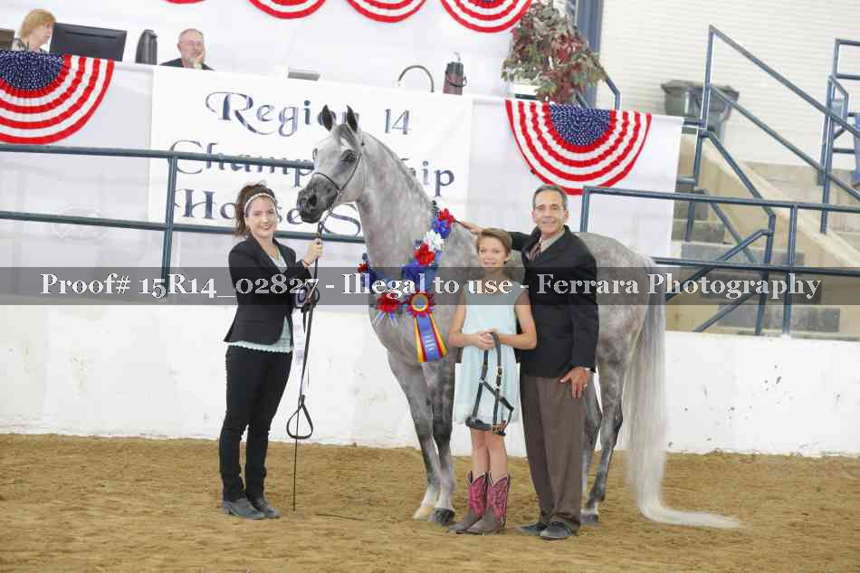 Proof Number 15R14_02827