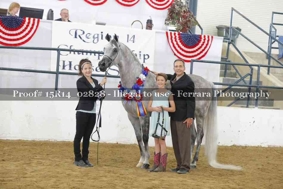 Proof Number 15R14_02828