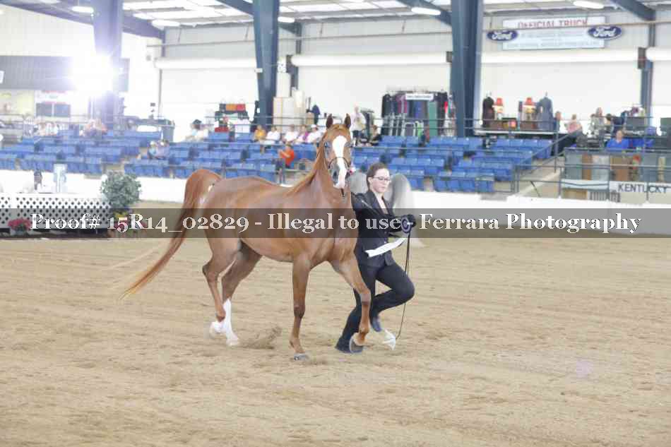 Proof Number 15R14_02829