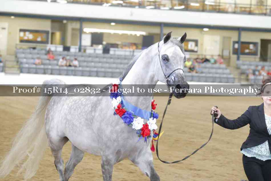 Proof Number 15R14_02832