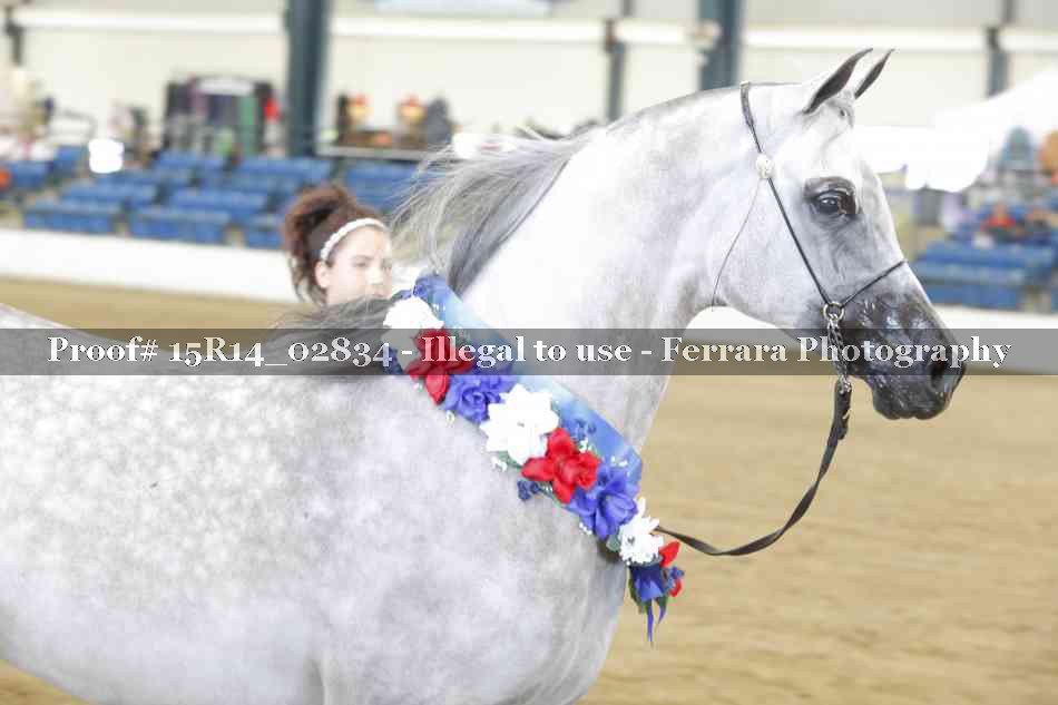 Proof Number 15R14_02834