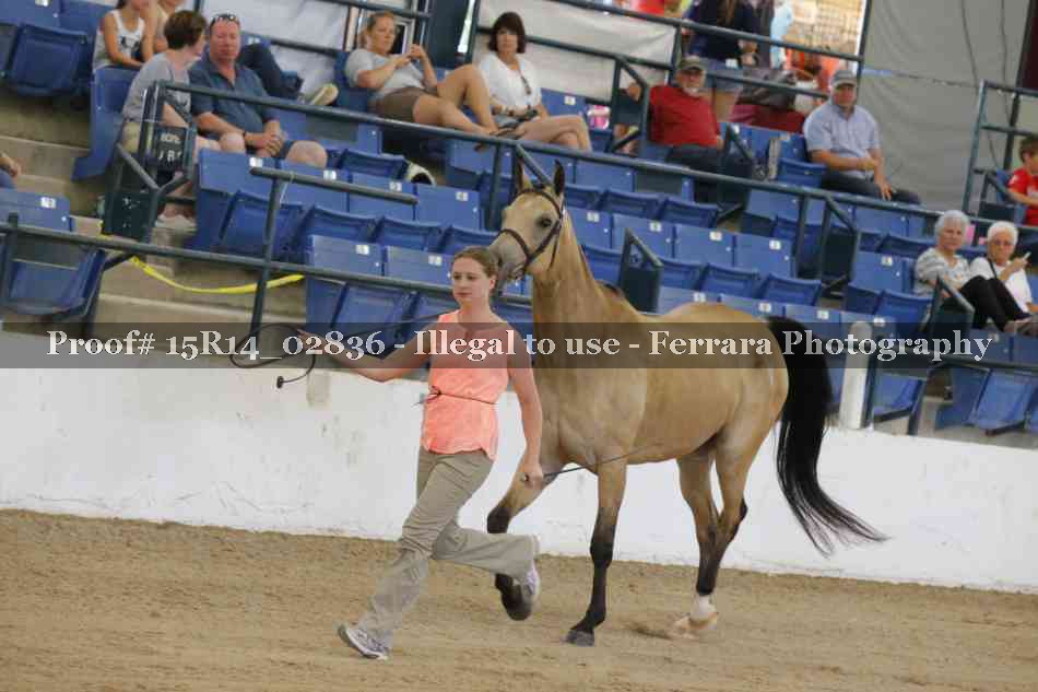 Proof Number 15R14_02836