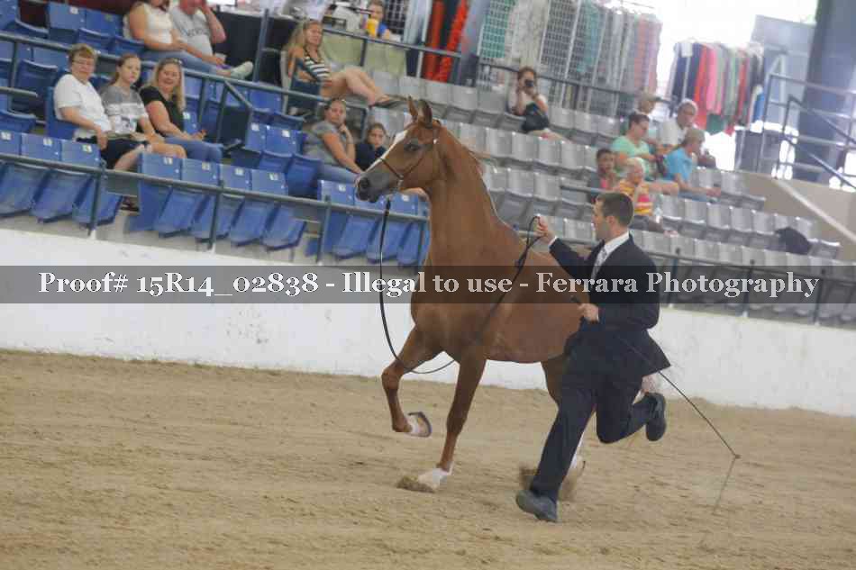 Proof Number 15R14_02838