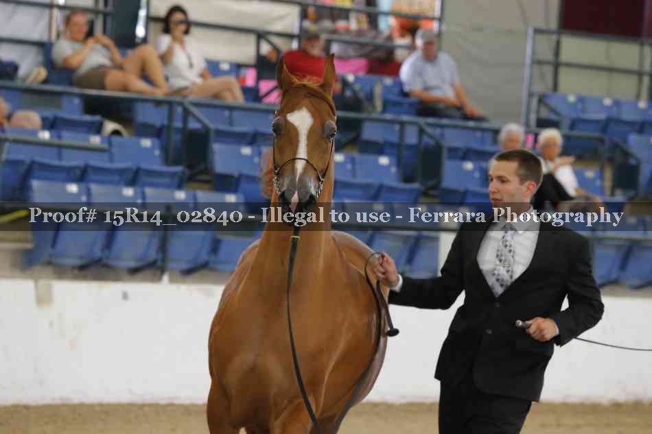Proof Number 15R14_02840