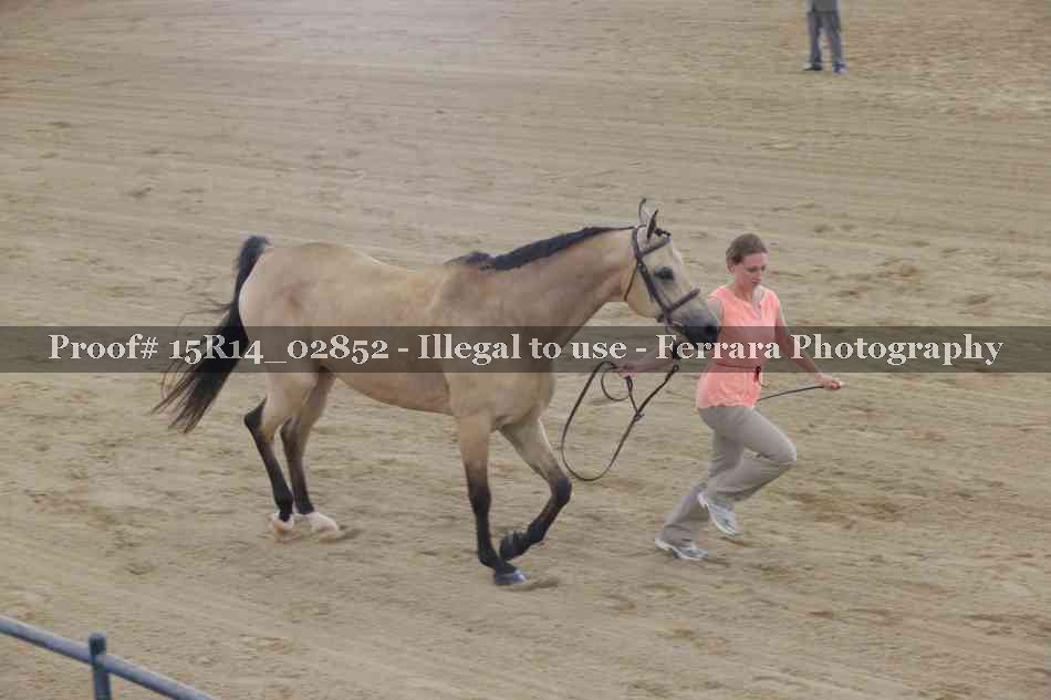 Proof Number 15R14_02852