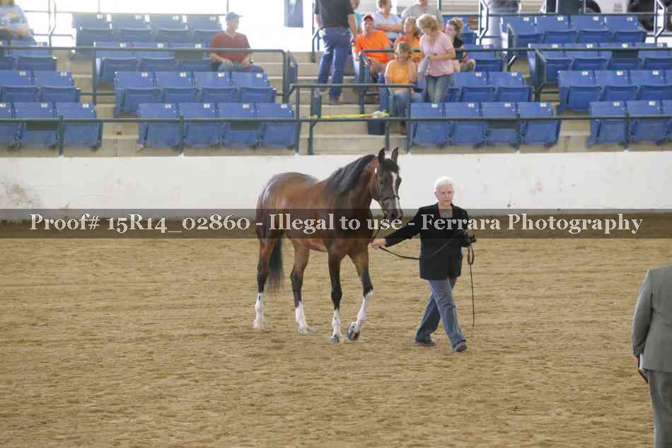 Proof Number 15R14_02860