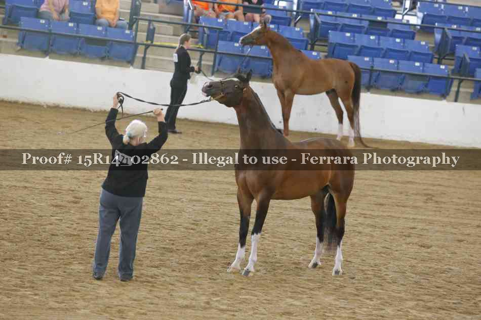 Proof Number 15R14_02862