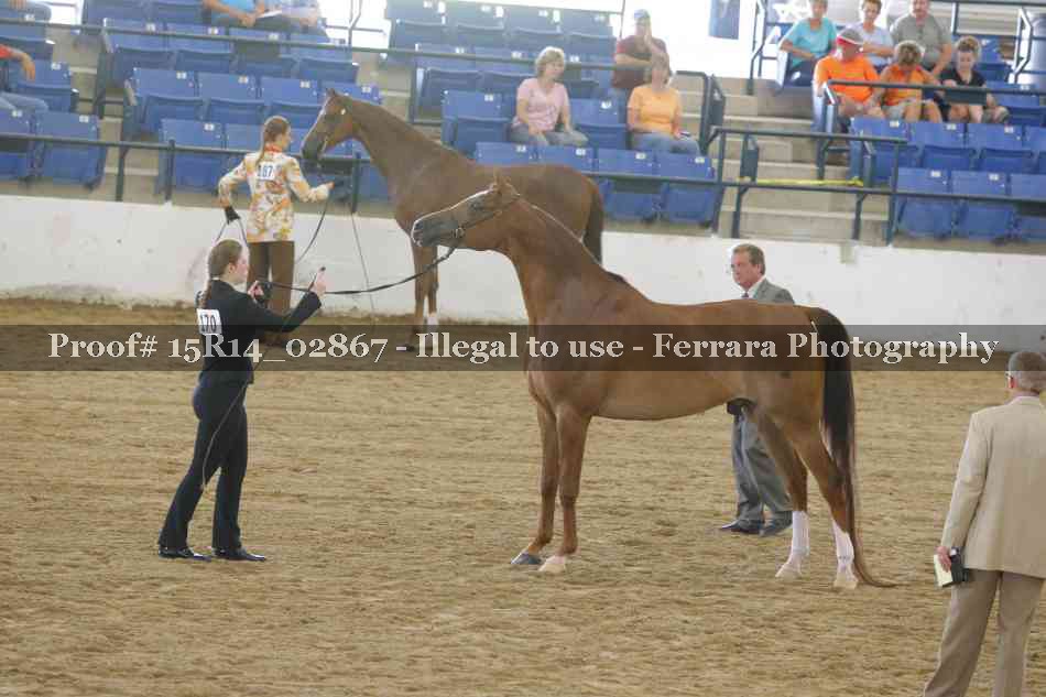 Proof Number 15R14_02867