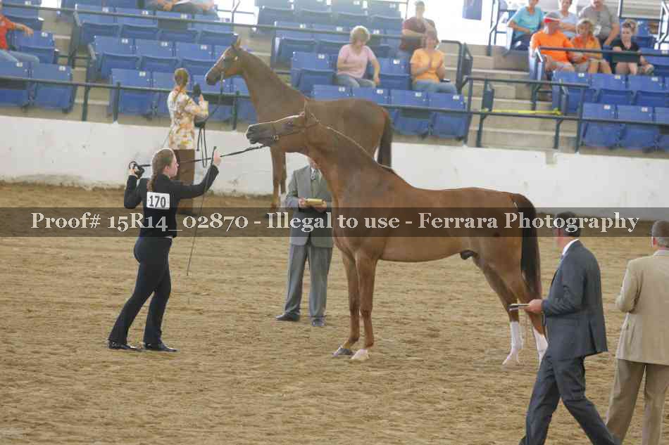 Proof Number 15R14_02870