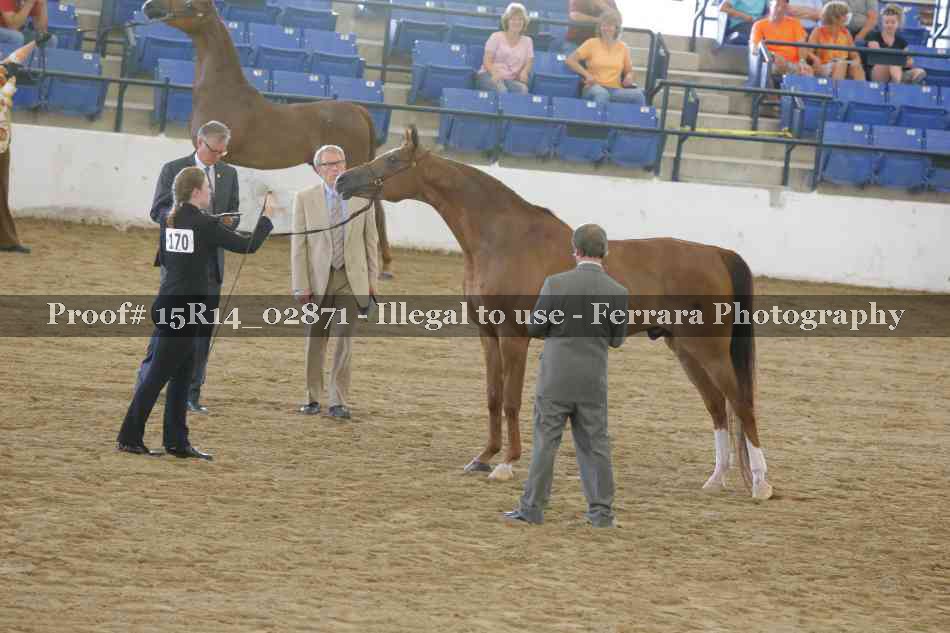 Proof Number 15R14_02871
