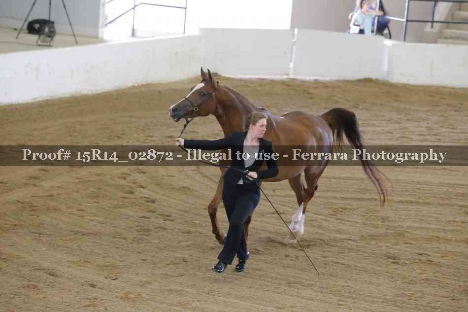Proof Number 15R14_02872