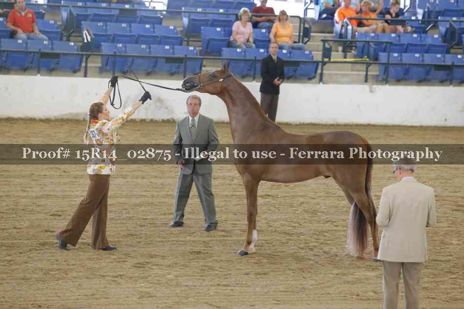 Proof Number 15R14_02875