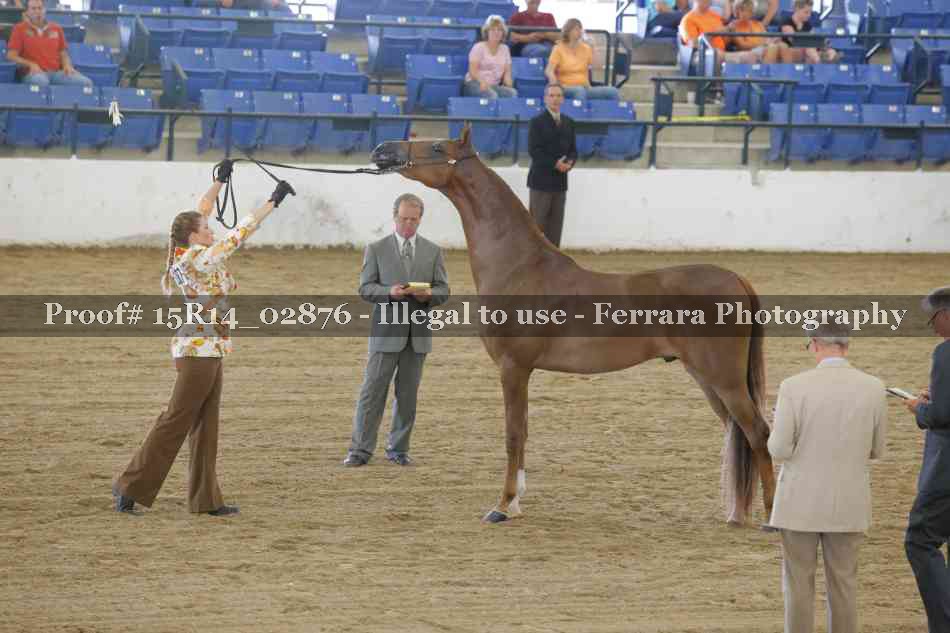 Proof Number 15R14_02876