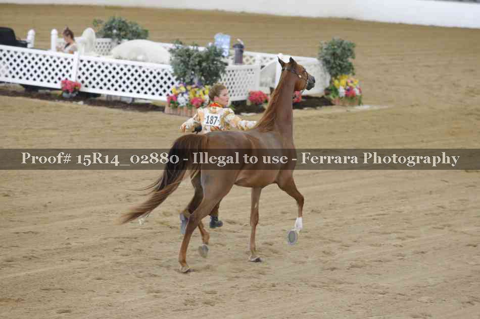 Proof Number 15R14_02880