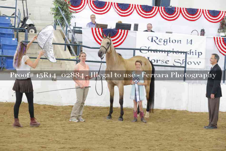 Proof Number 15R14_02884