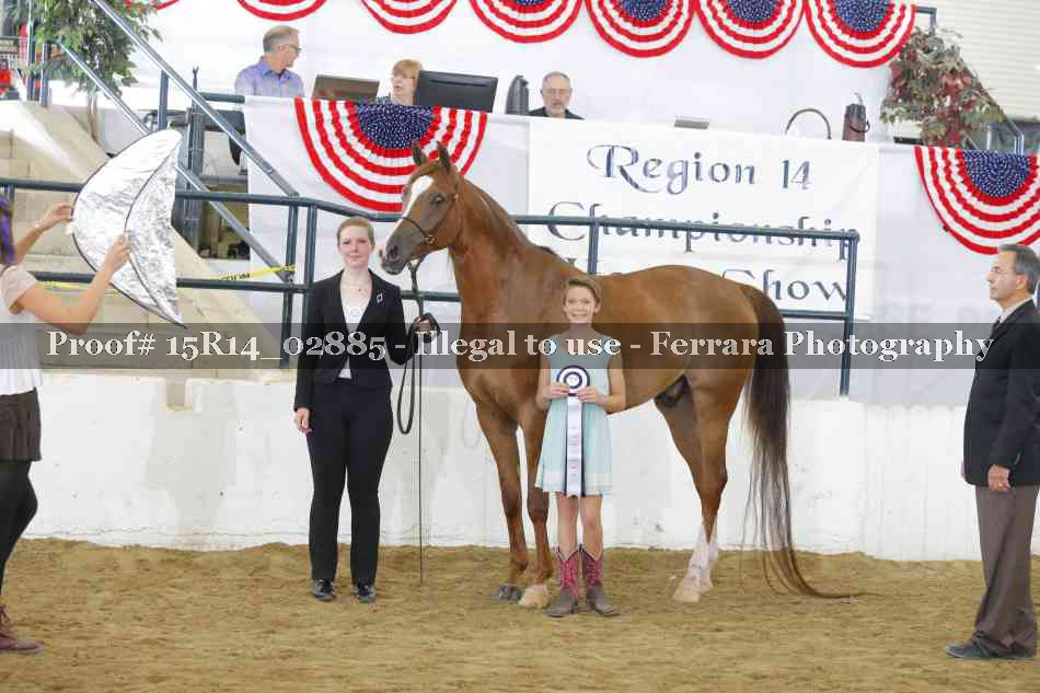 Proof Number 15R14_02885