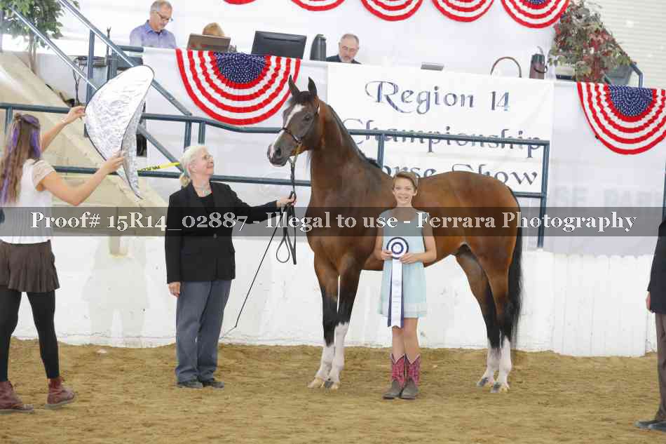 Proof Number 15R14_02887
