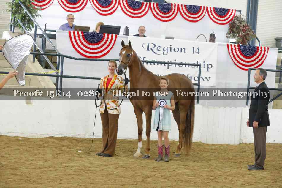 Proof Number 15R14_02891