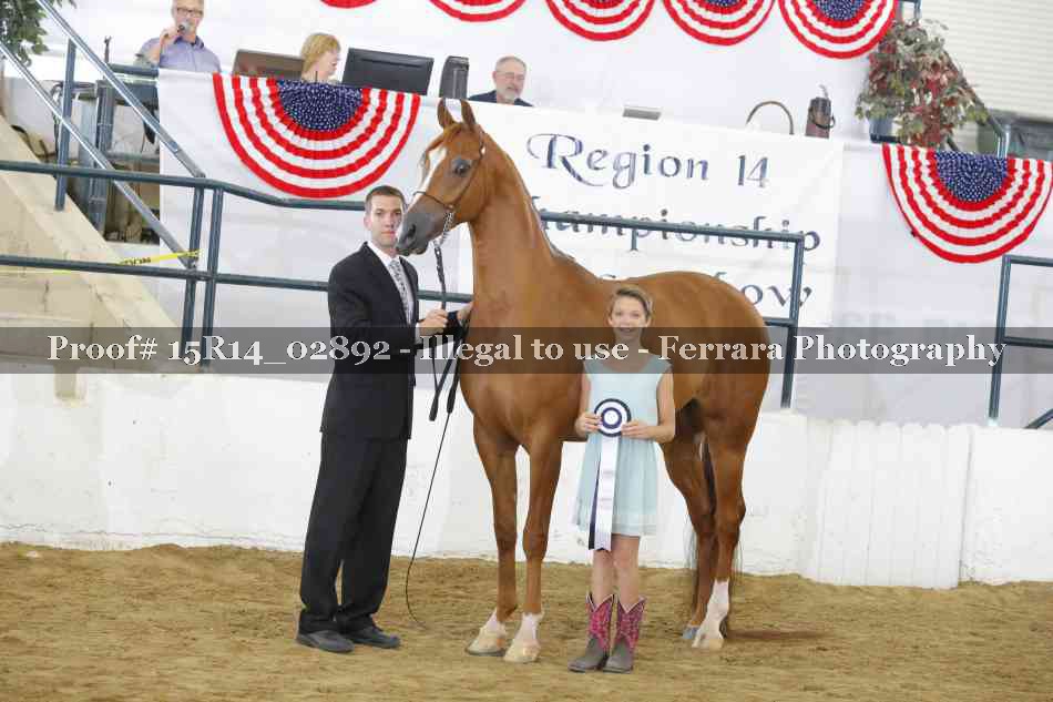 Proof Number 15R14_02892