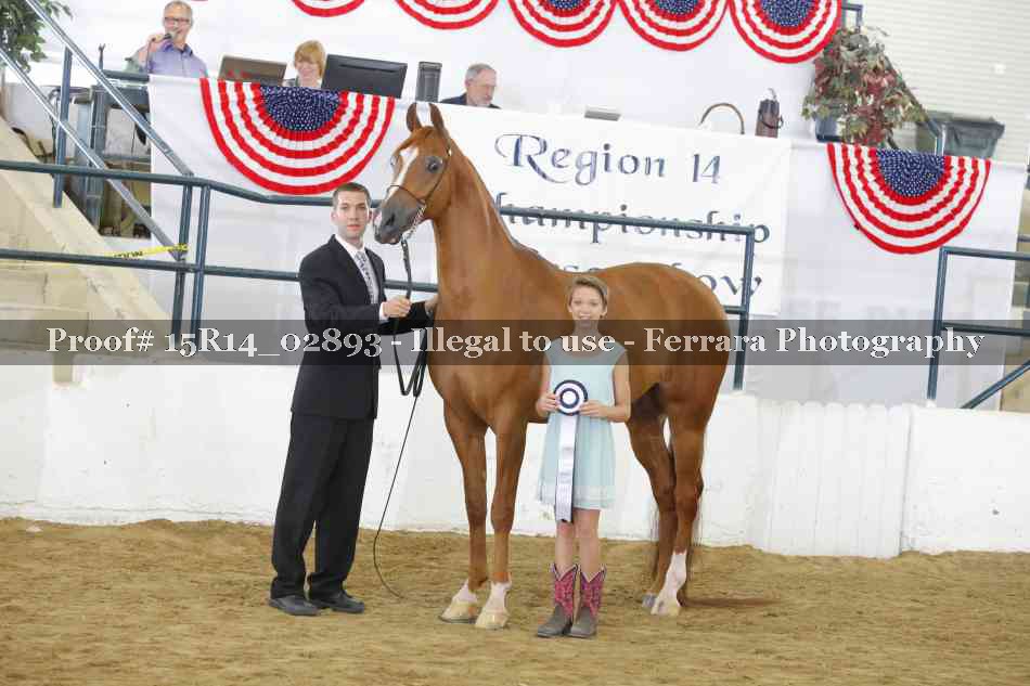 Proof Number 15R14_02893