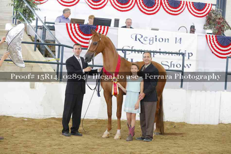 Proof Number 15R14_02894