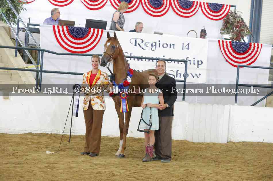 Proof Number 15R14_02898