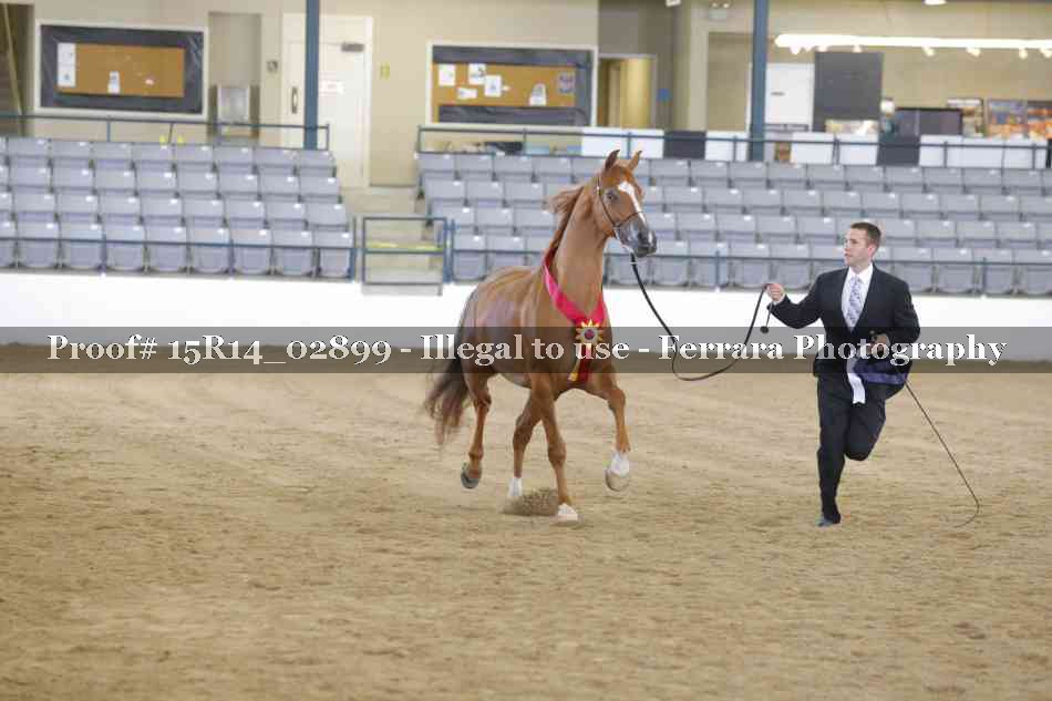 Proof Number 15R14_02899