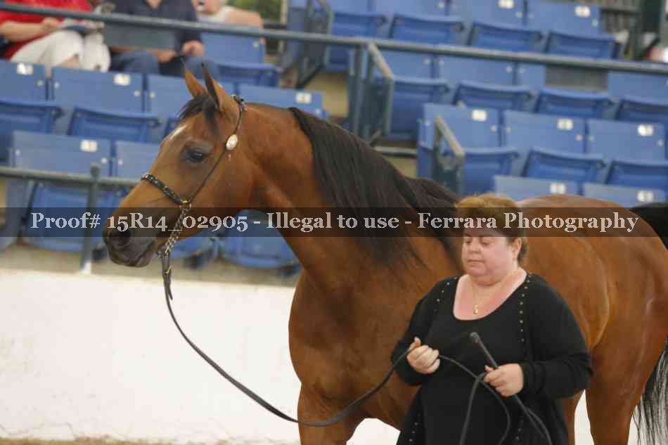 Proof Number 15R14_02905