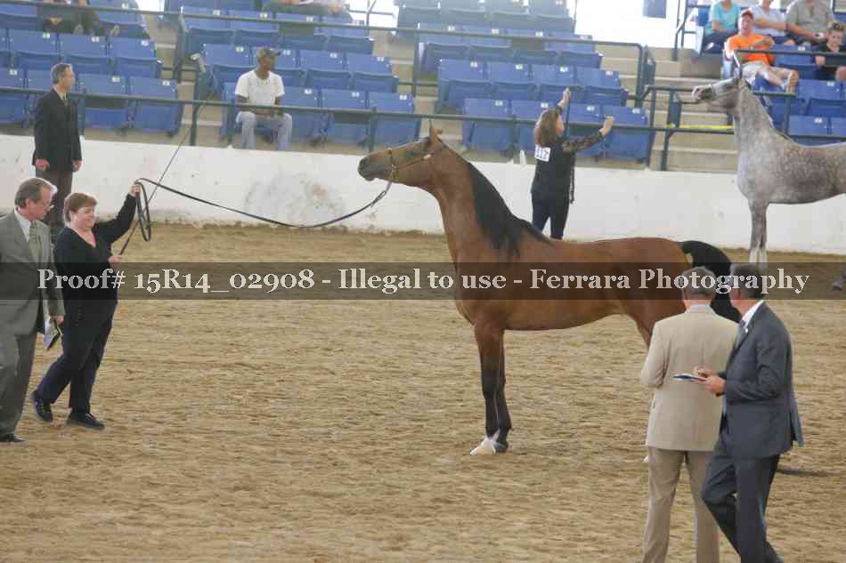 Proof Number 15R14_02908