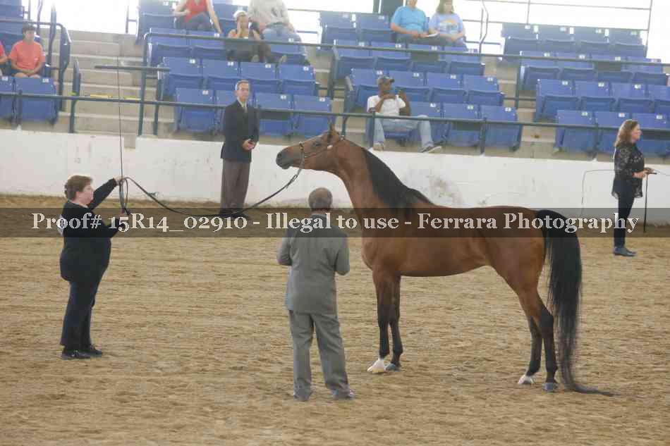 Proof Number 15R14_02910