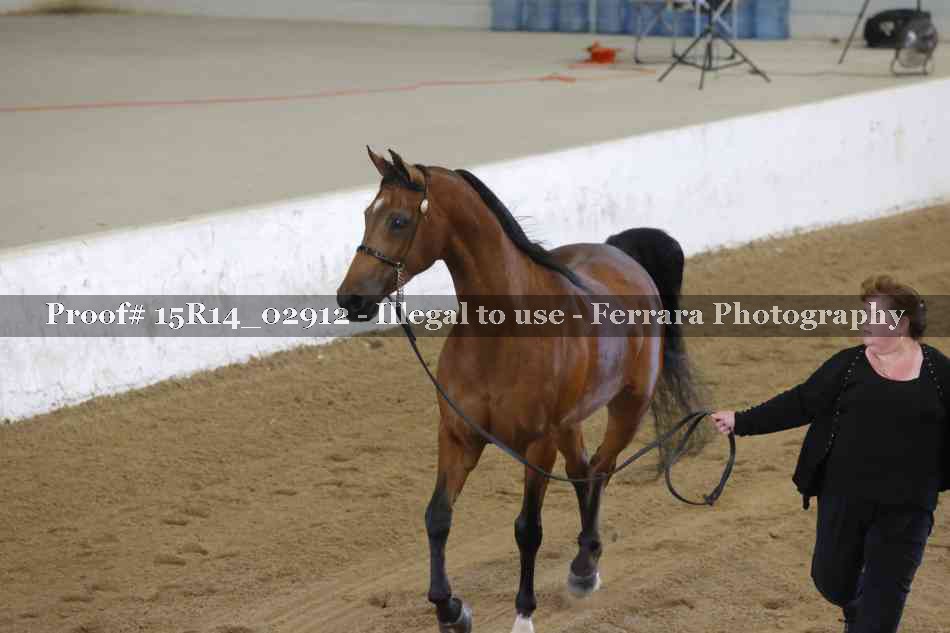 Proof Number 15R14_02912