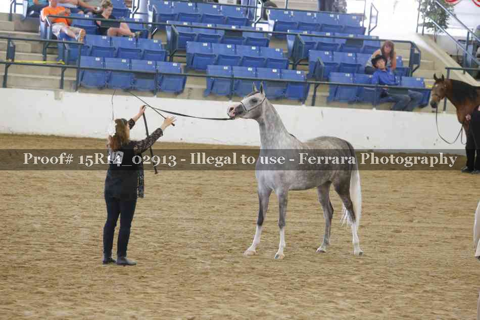 Proof Number 15R14_02913