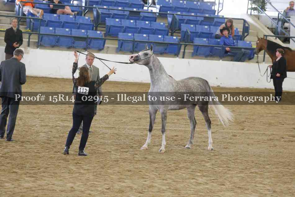 Proof Number 15R14_02915