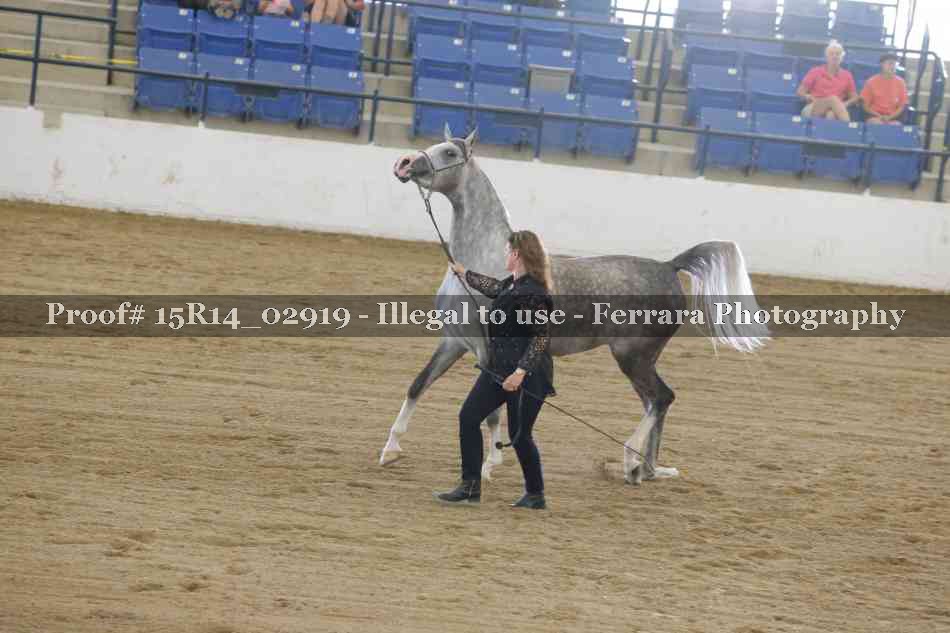 Proof Number 15R14_02919
