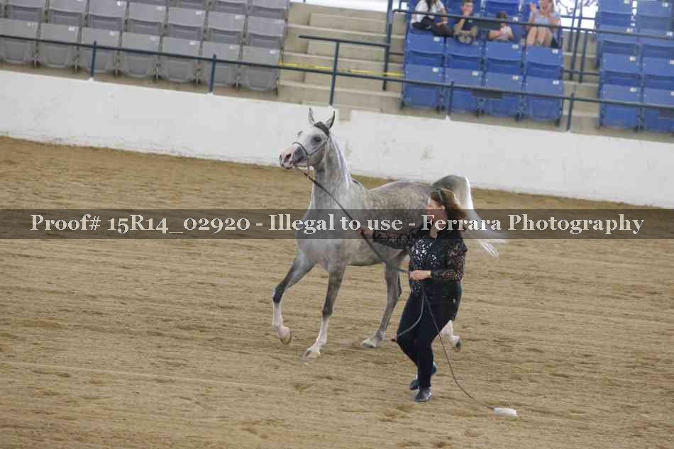Proof Number 15R14_02920