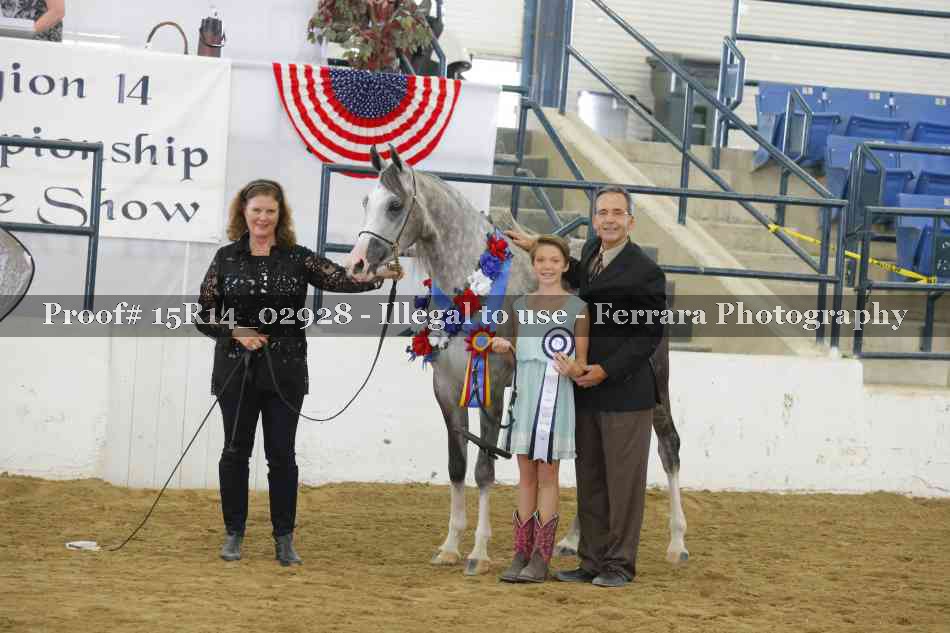 Proof Number 15R14_02928