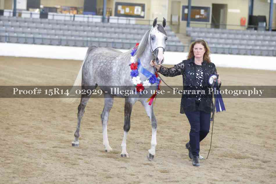 Proof Number 15R14_02929