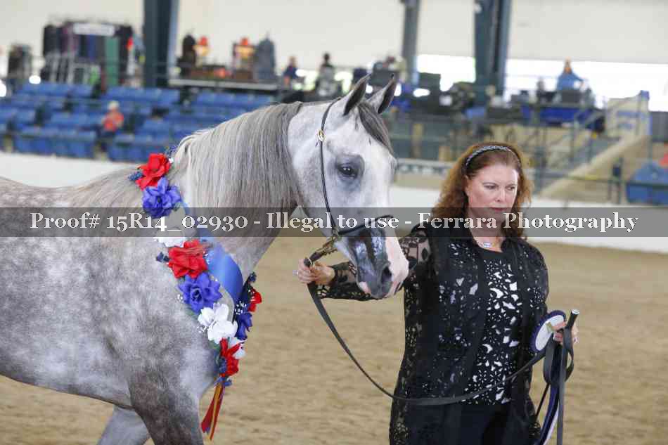 Proof Number 15R14_02930