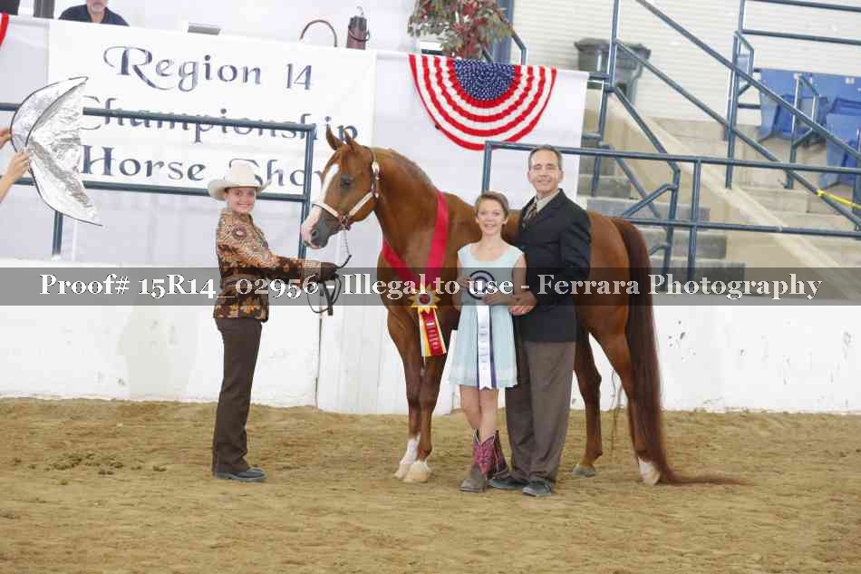 Proof Number 15R14_02956