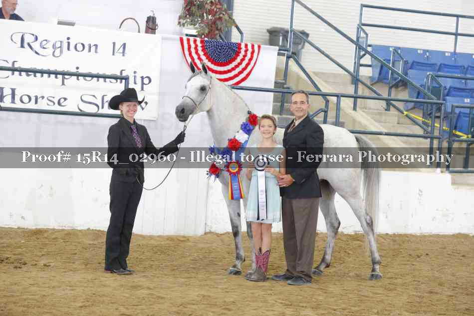 Proof Number 15R14_02960