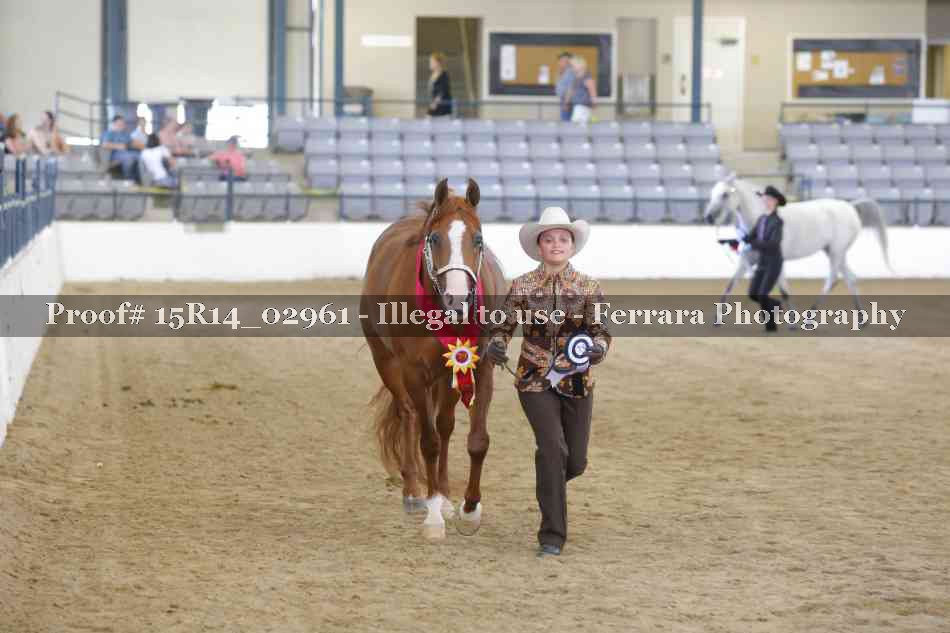 Proof Number 15R14_02961