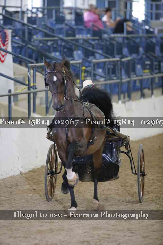 Proof Number 15R14_02967